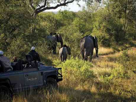 Exciting Mauritius & Kruger Experience